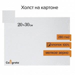 Холст на картоне Calligrata, хлопок 100%, 20 х 30 см, 3 мм, акриловый грунт, мелкое зерно, 280 г/м2