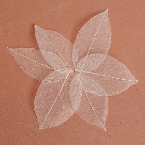 Сухие листья, (набор 5 шт), размер 1 шт:: 8x5 см, цвет белый