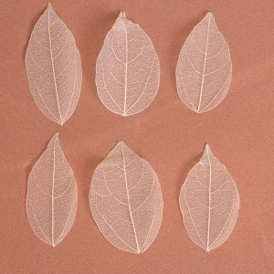 Сухие листья, (набор 5 шт), размер 1 шт:: 8?5 см, цвет белый