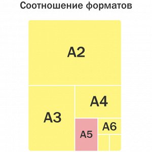 Папка для тетрадей 1 отделение А5 ArtSpace ""Never Stop"", пластик/картон, на молнии