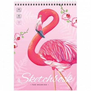 Скетчбук 60л., А4 ArtSpace ""Flamingos"", на гребне, 160г/м2