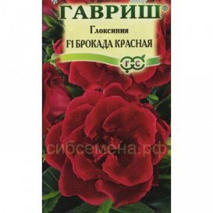 Глоксиния Брокада красная F1 (Гавр)