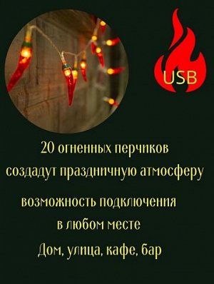 Светодиодная гирлянда "Перчик" USB