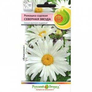Ромашка садовая Северная звезда (НК)