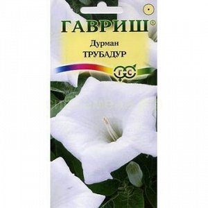 Дурман Трубадур (Гавр)