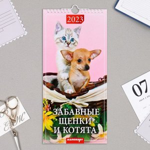 Календарь перекидной на ригеле "Щенки и котята" 2023 год, 16,5 х 34 см