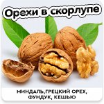 Орешки в скорлупе. Миндаль, грецкий орех, фундук, кешью