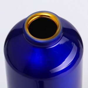 СИМА-ЛЕНД Фляжка-бутылка для воды &quot;Мастер К.&quot;, 750 мл, 24.5  х 7 см, синяя