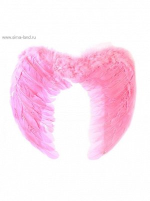 Крылья Ангела 55 х 40 см цвет розовый