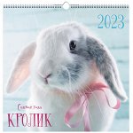 Символ года. 3