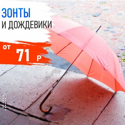 Копеечка -Sanfor WC -75₽ — Зонты, дождевики