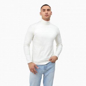 Водолазка мужская MINAKU: Basic line MAN цвет экрю