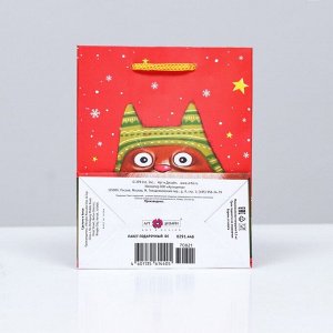 Пакет подарочный "Рыжий кот", 11,5 х 14,5 х 6,5 см