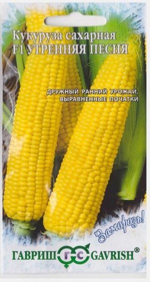 Кукуруза Утренняя песнь (Код: 13968)