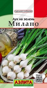 Лук Батун Милано (Код: 89943)