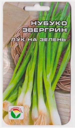 Лук на зелень Нубука Эвергрин (Код: 67377)