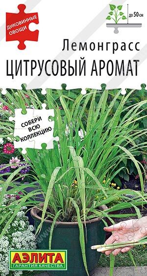 Лемонграсс Цитрусовый аромат (Код: 89942)