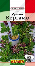 Орегано Бергамо (Код: 90009)