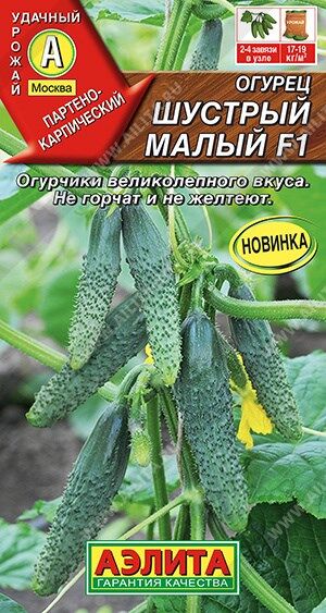 Огурец Шустрый малый (Код: 89953)