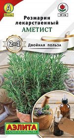 Розмарин Аметист (Код: 90021)