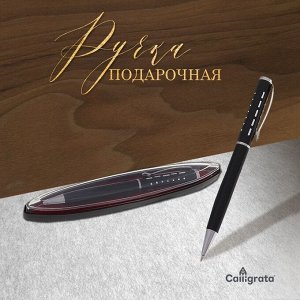 Ручка подарочная, шариковая «Пунктир» в пластиковом футляре, поворотная, чёрная с серебристыми вставками