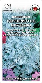 Цинерария Серебристое кружево /Сотка/ 0,05г / h-15-30см/*2000