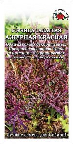 Горчица Ажурная красная /Сотка/ 0,5г/ ранняя салатная/*1200