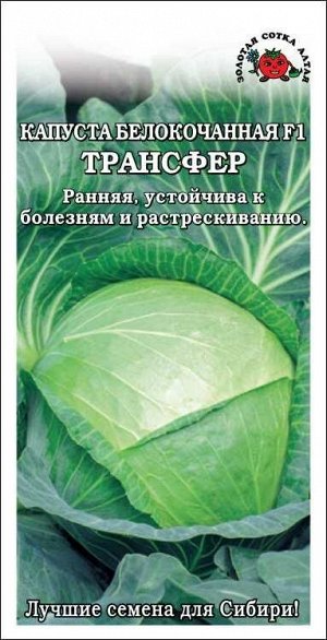 Капуста белокочанная Трансфер F1 /Сотка/ 0,2г/ раннесп. 0,8-1,5кг/*1200