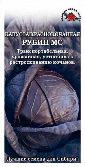 Капуста краснокочанная Рубин /Сотка/ 0,3г/ среднесп. 1-2кг/*1200