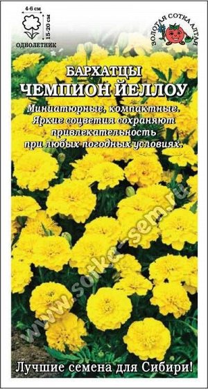 Бархатцы Чемпион йеллоу /Сотка/ 0,2г/ h-15-20см d-4-6см /*1200