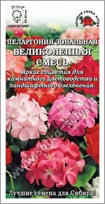 Ком: Пеларгония Великолепная смесь /Сотка/ 5 шт /*350