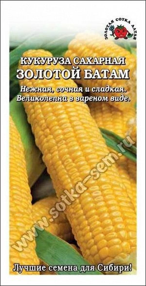 Кукуруза Золотой батам /Сотка/ 5г/ среднеран. сахар. 200г/*300