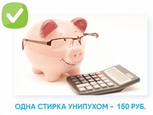 УниПух Средство для стирки изделий из пуха, 250 мл