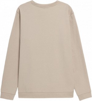 Джемпер мужской MEN'S SWEATSHIRT