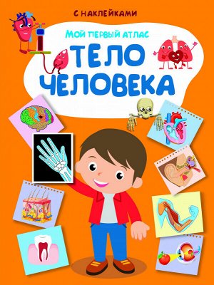 Книжка с наклейками Мой первый Атлас Тело Человека