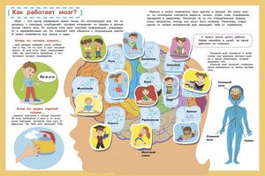 Книжка с наклейками Мой первый Атлас Тело Человека