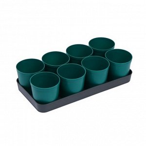 Набор для рассады: стаканы по 500 мл (8 шт.), поддон 41 ? 20 см, цвет МИКС, Greengo