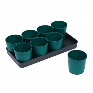 Набор для рассады: стаканы по 500 мл (8 шт.), поддон 41 x 20 см, цвет МИКС, Greengo