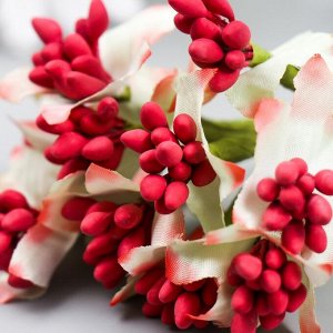 Цветы для декорирования "Паслен жасминовидный" 1 букет=10 цветов красный 9,5 см
