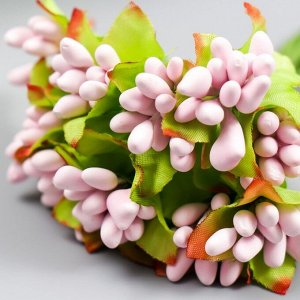 Цветы для декорирования "Паслен жасминовидный" 1 букет=10 цветов розовый 9,5 см
