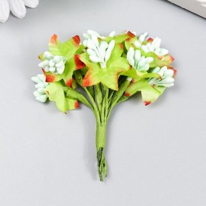 Цветы для декорирования "Паслен жасминовидный" 1 букет=10 цветов мятный 9,5 см