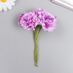 Цветы для декорирования "Астра сиреневая" 1 букет=6 цветов 10 см