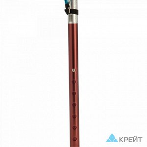 Трость Dayang Medical TS710