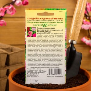 Семена цветов Пеларгония "Летний дождь", ампельная, смесь, 3 шт