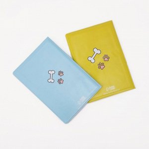 Подарочный набор: 2 обложки для паспорта, цвет жёлтый/голубой