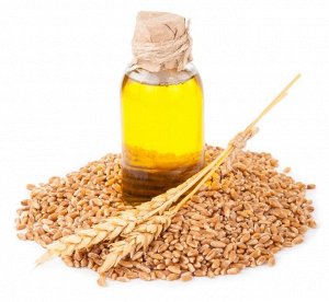 Зародышей пшеницы, масло рафинированное (Германия)