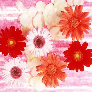 Салфетки 20 л. 33х33, 3-х сл., 16 уп/кор., Арт. 56051