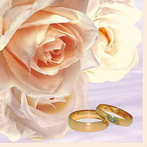 Салфетки 20 л. 33х33, 3-х сл., 16 уп/кор., Арт. 56158
