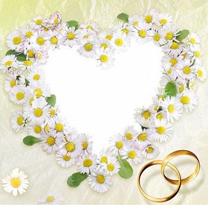 Салфетки 20 л. 33х33, 3-х сл., 16 уп/кор., Арт. 56213