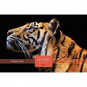 Пазл «Взгляд тигра», 500 элементов